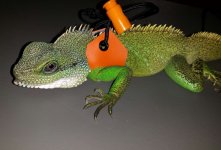 20141030_212504-1.jpg