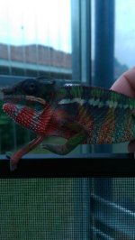IMAG0163.jpg