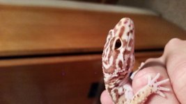 20141114_201809.jpg