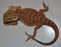 CSC_0208.jpg