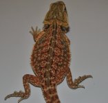 CSC_0205.jpg