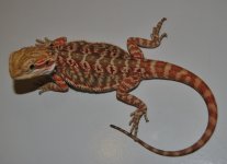 CSC_0198.jpg