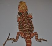 CSC_0199.jpg