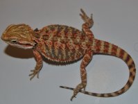 CSC_0212.jpg