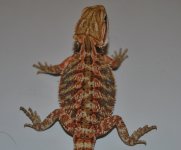 CSC_0211.jpg