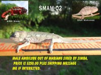 Male 2 (1).jpg