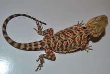 CSC_0200.jpg