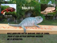 Male 1 (5).jpg