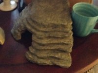 IMG_0461.jpg