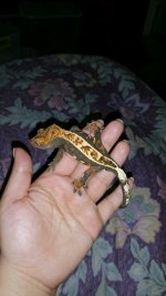 20150318_232751.jpg