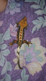 20150318_232715.jpg