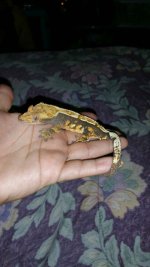 20150318_232817.jpg