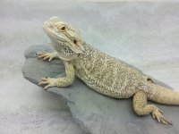 20130508_171103.jpg