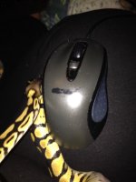 ImageUploadedByTapatalk1415516787.528179.jpg