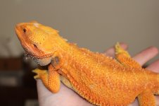 IMG_5675.jpg