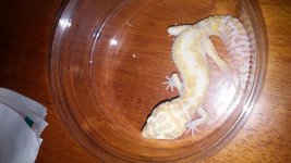 20150327_180320.jpg