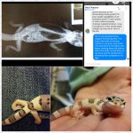 Photo Collage Maker_8IYvDz.jpg