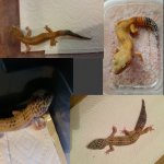 Photo Collage Maker_gZDPEi.jpg