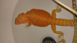 20150321_121640.jpg
