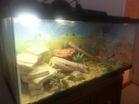 20150315_134658.jpg