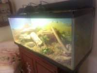 20150315_134712.jpg