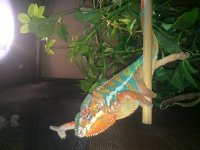 IMG_6355.jpg