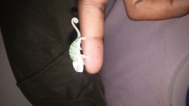 20141115_100653.jpg