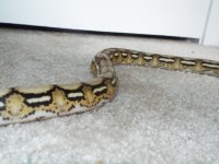 DSCF4270.jpg