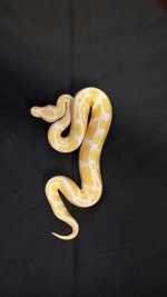 489f.jpg