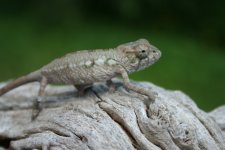 IMG_0012.jpg