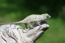 IMG_0014.jpg