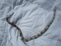 IMG_1164.jpg