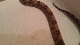 20150308_190431.jpg