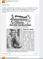 woodstock.jpg