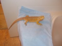 DSCN4423.JPG