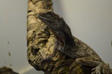 DSC_0014.jpg