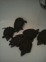 IMG_20110903_220534.jpg