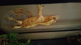 20150427_153529.jpg