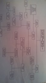 IMG_20150210_215032_408.jpg