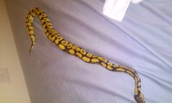 20150313_110315.jpg