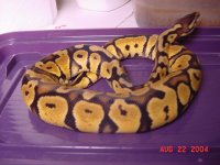 dsc00081.jpg