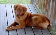 Rusty3_23_06_2.jpg