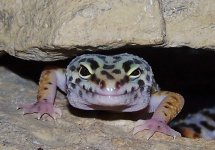 100_0019.jpg
