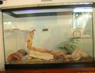 Tank2.jpg