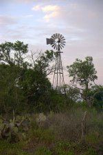 windmill001.jpg