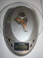 IMG_0034.jpg