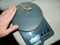geckoscale2.jpg