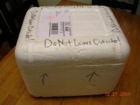 tortoise box.jpg