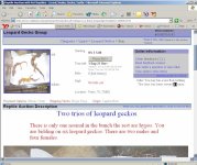 gecko4-8-04(2).jpg