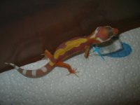 IMG_1913.JPG